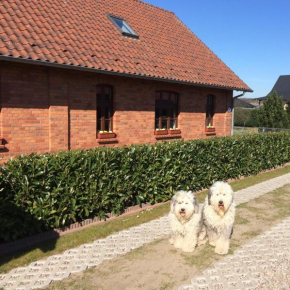 Ferienhaus Kranichnest